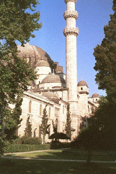 Suleimat