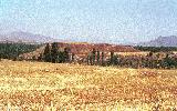 Colossae