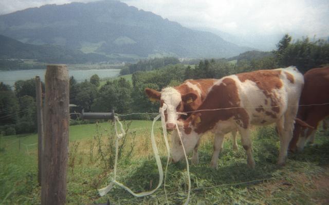 Switzerland