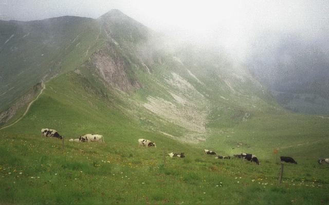 Switzerland