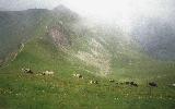 Switzerland