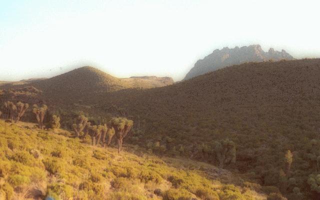 Kilimanjaro