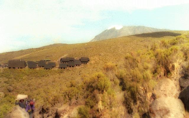 Kilimanjaro