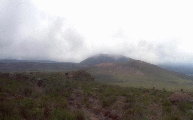 Kilimanjaro