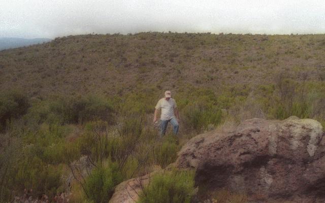 Kilimanjaro