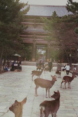 Japan