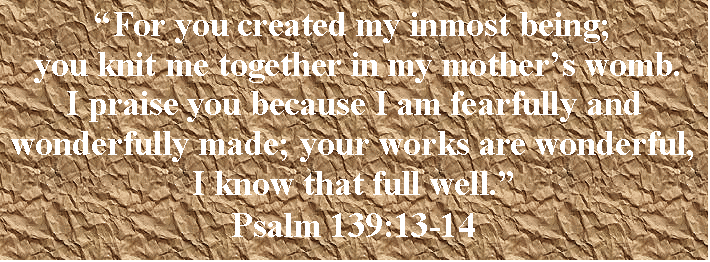 Text Box: For you created my inmost being; 
 you knit me together in my mothers womb. 
I praise you because I am fearfully and wonderfully made; your works are wonderful, I know that full well.
Psalm 139:13-14
