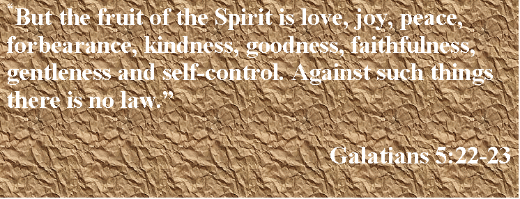 Text Box: But the fruit of the Spirit is love, joy, peace, forbearance, kindness, goodness, faithfulness, gentleness and self-control. Against such things there is no law.

Galatians 5:22-23


